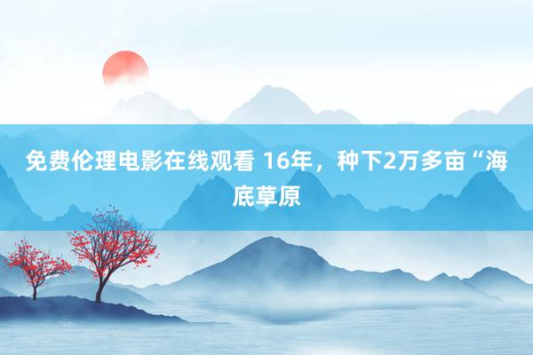 免费伦理电影在线观看 16年，种下2万多亩“海底草原