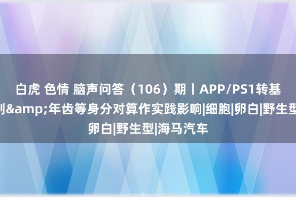 白虎 色情 脑声问答（106）期丨APP/PS1转基因小鼠性别&年齿等身分对算作实践影响|细胞|卵白|野生型|海马汽车