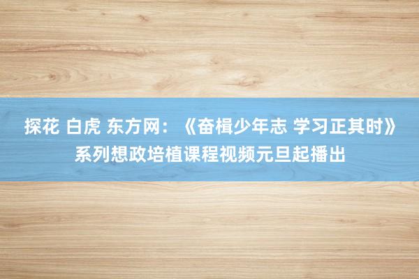 探花 白虎 东方网：《奋楫少年志 学习正其时》系列想政培植课程视频元旦起播出