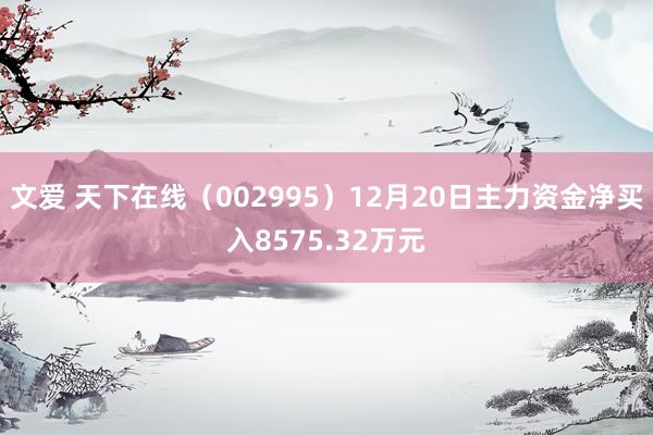 文爱 天下在线（002995）12月20日主力资金净买入8575.32万元